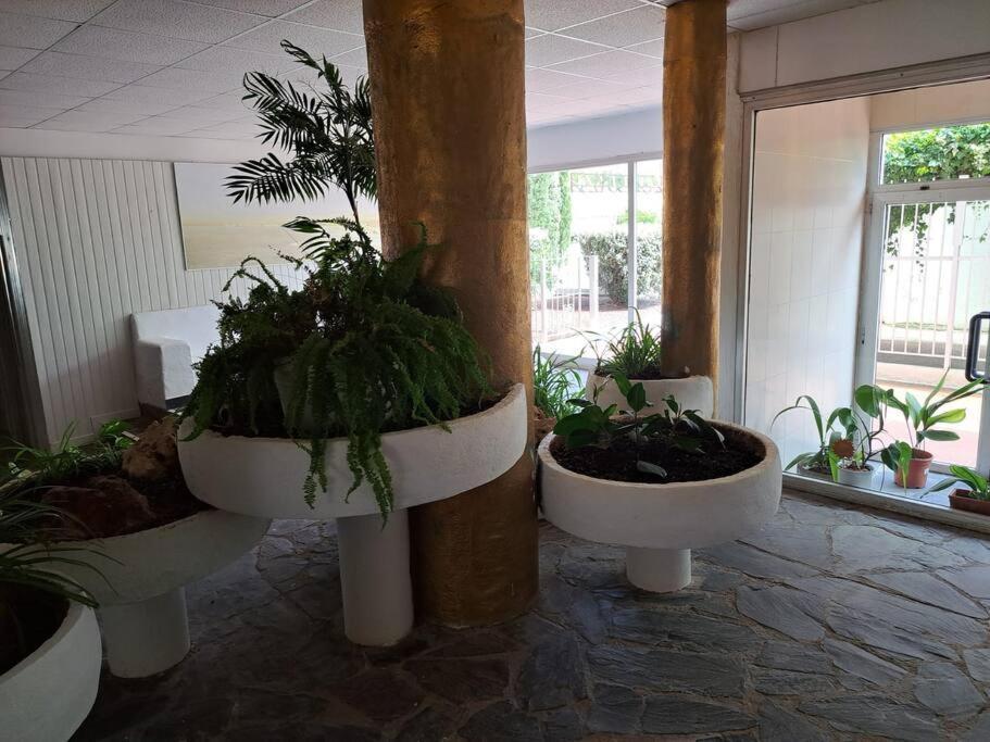 Holiday Center Apartamento Vistas Mar, Acceso Directo Playa Y Piscina 罗萨斯 外观 照片